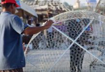 Sharjah fisherfolk