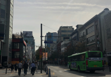 My Seoul Under Strawberry Rain by journalism student Sara Hameed