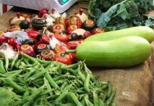 Bhopal’s Anant Mandi Promotes Organic Living