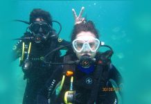 Under the sea