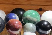 Holly Holistic sees Increased Business despite Pandemic