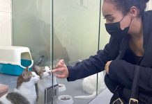 RAK Animal Welfare Center