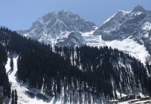 “Heaven on Earth”: Kashmir’s tourism industry anticipates revival