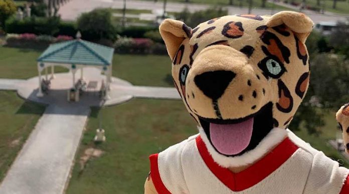 20221110-nov-17-leopards-day-to-feature-new-aus-mascot