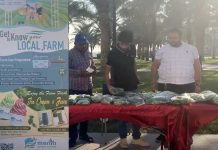 Farmers Market at AUS