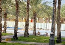 Jana Al-Bunni reports on the renovation of AUS plaza