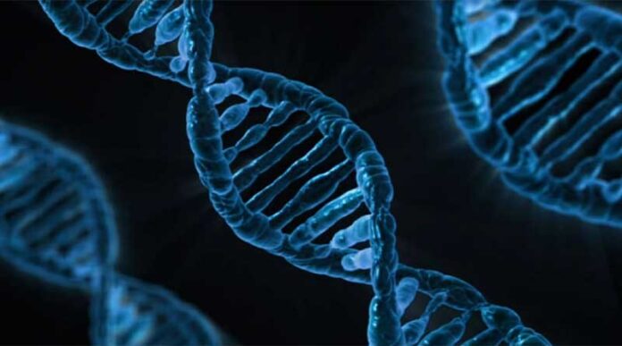20230223-genome-program-comes-to-campus-feb-27